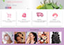 design, redesign wordpress website and website maintenance
